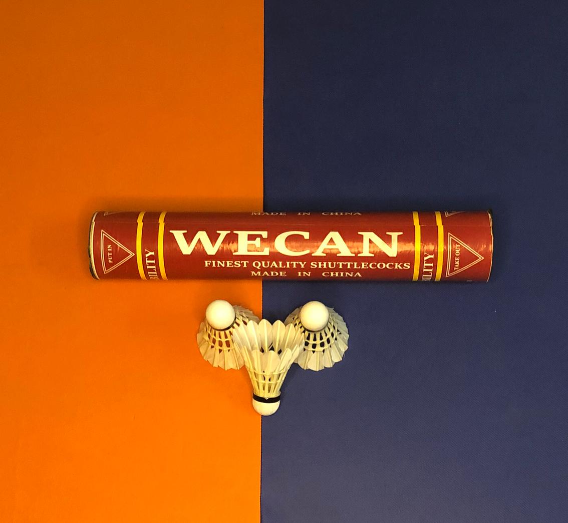 Badminton Shuttles
