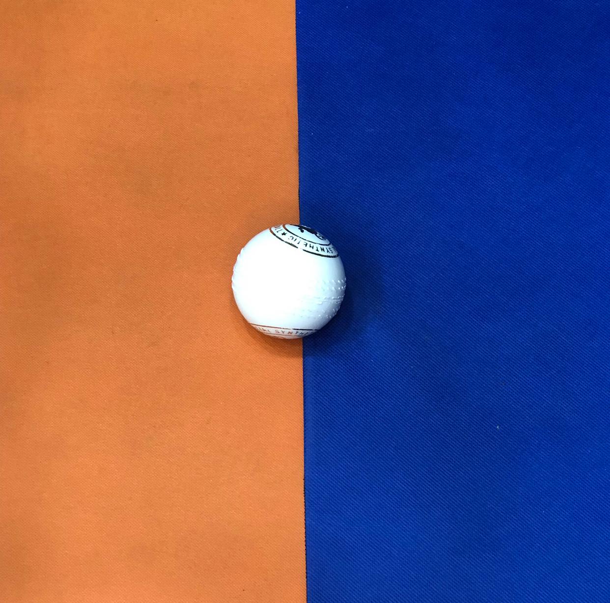 Special Synthetic Ball White